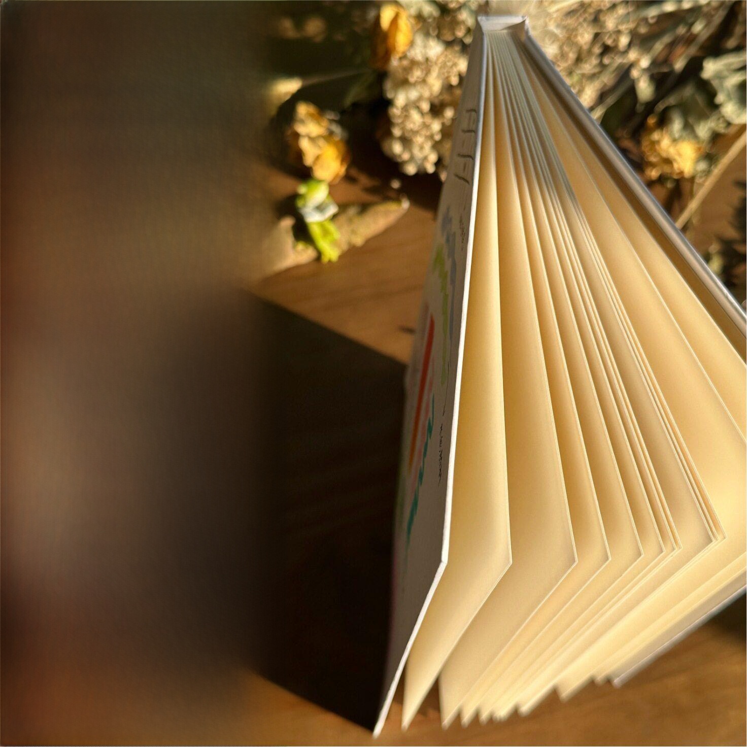 Journal Leather Hardcover - Cuaderno de tapa dura con páginas