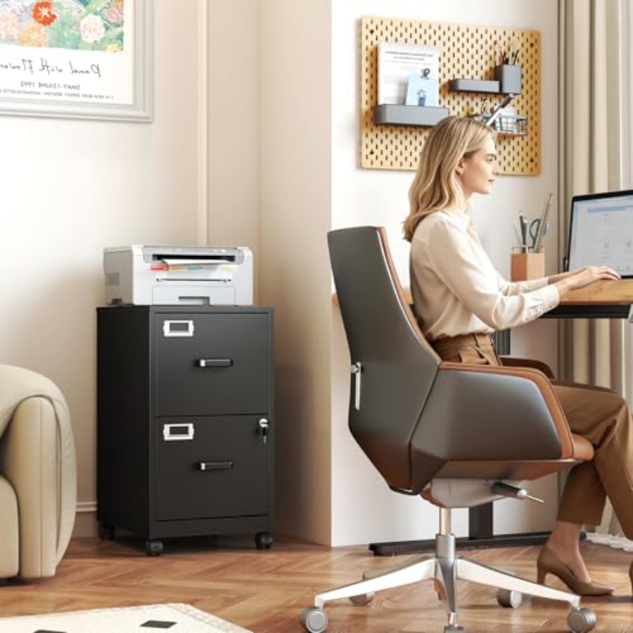 Archivador rodante de 2 cajone - File Folder Hanging reseña y precio